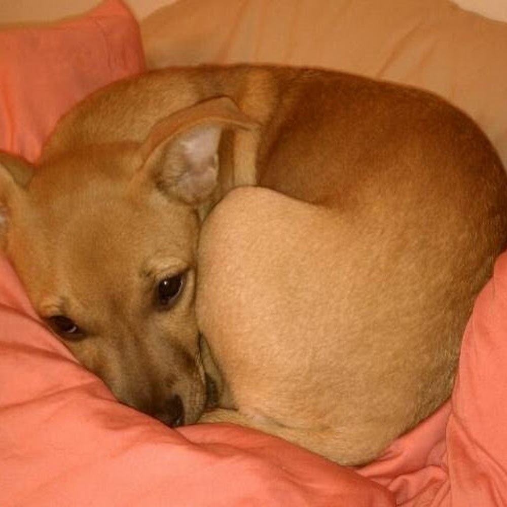 Meet your Posher, Jaclyn